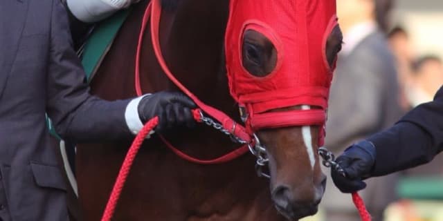 【アンタレスS予想2017】グレンツェント、アウェイの洗礼を打破できるか？