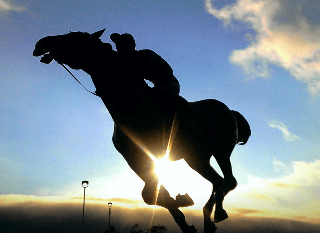 【注目新馬】ブランボヌール半妹アフランシール