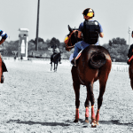 【ジャパンカップ予想2025】注目の外国人騎手コンビは？