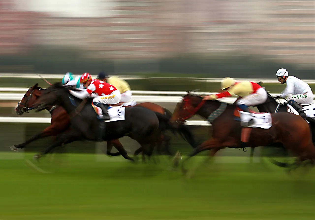難波ステークスが準オープンにして非常にハイレベルな理由とは？