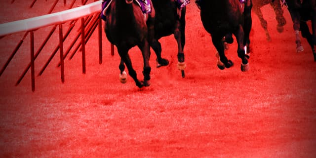 【若葉S予想2018】G1勝ち次走のオープン出走、負けられないタイムフライヤー