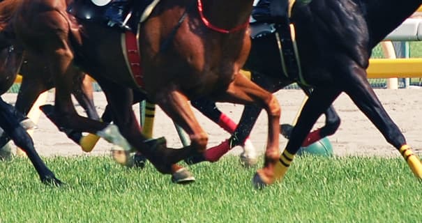 【中日新聞杯2019予想】混戦模様のハンデG3！サトノソルタスやタニノフランケルなど出走予定馬を考察