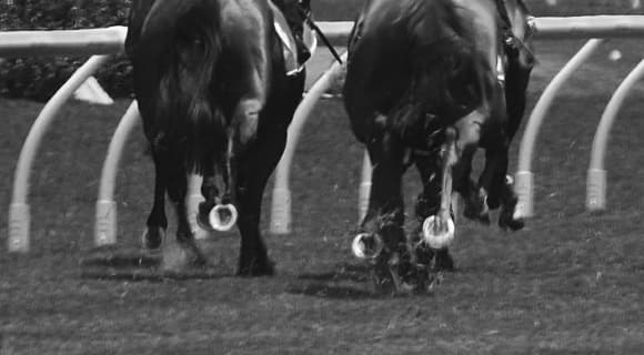 【皐月賞2017予想】スワーヴリチャードは過剰人気？”2つの不安要素”を徹底考察！