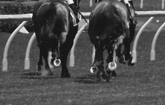 【メトロポリタンS2017】カフジプリンス、取りこぼしできない一戦