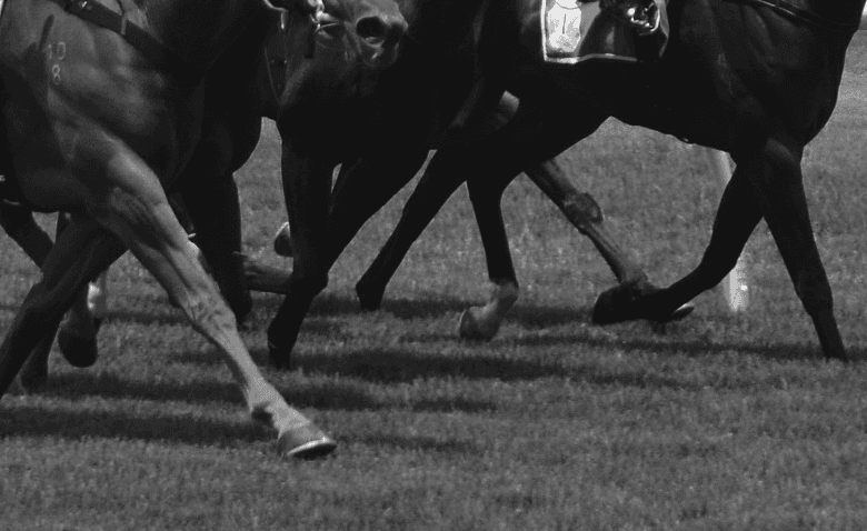 【宝塚記念2017予想】疲れ知らずのキタサンブラック！仕上がり抜群？！