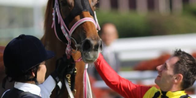 【NHKマイル予想2017】カラクレナイ、ここは持ち味活きる