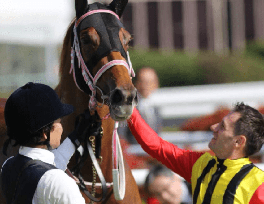 【NHKマイル予想2017】カラクレナイ、ここは持ち味活きる