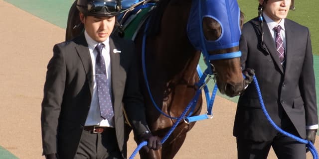 ケイアイチョウサン引退。乗馬に