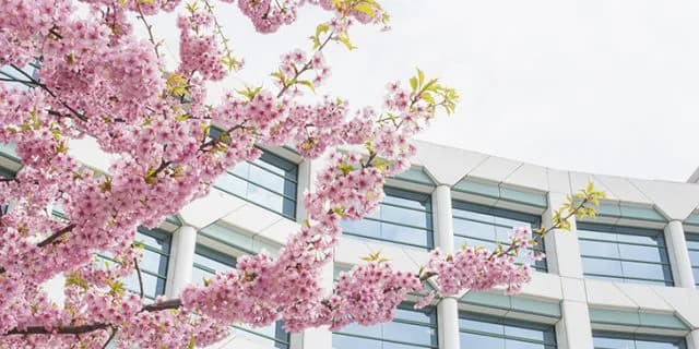 【桜花賞2017予想】ソウルスターリング中心で問題なし、相手選びに専念しよう