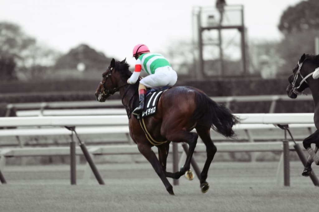 新種牡馬レイデオロの魅力とは？稀代の名牝による〝奇跡の血量〟も狙えるか