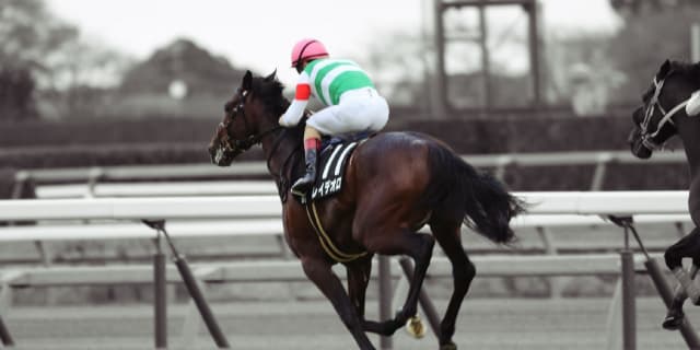 【神戸新聞杯2017】ダービー馬・レイデオロが一枚上か？！アウェイでも圧勝に期待！