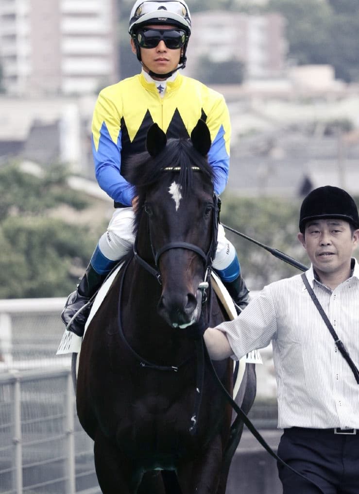 【天皇賞春2017予想】「2強」を食うのはこの馬だ