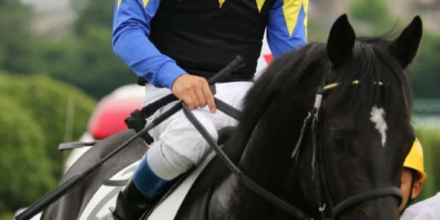 【阪神大賞典2019予想】シャケトラ好状態も、距離に不安ありか