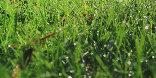 【ヴィクトリアマイル2017予想】雨で馬場が渋った時に狙いたい3頭とは？