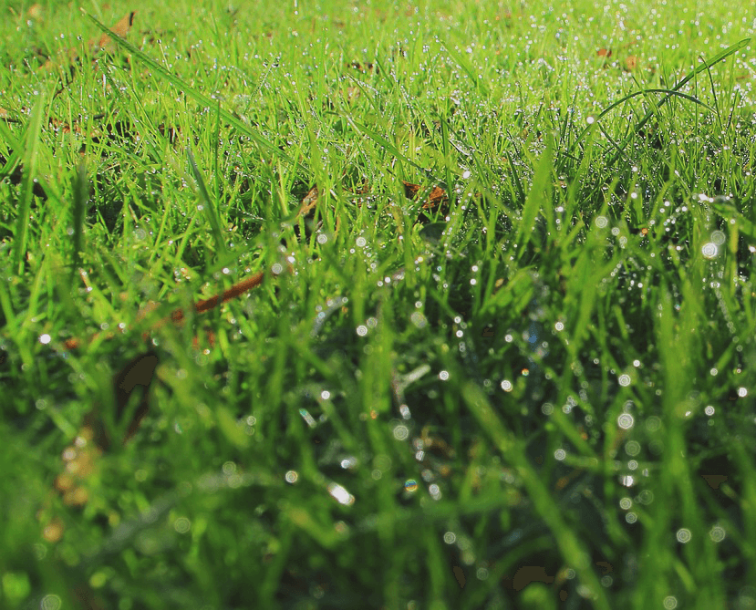 【ラジオNIKKEI賞2017予想】牝馬のバルベーラ、軽ハンデ活かして重賞初V目指す！