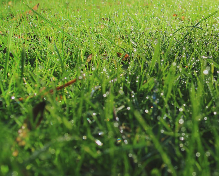 【ヴィクトリアマイル2017予想】雨で馬場が渋った時に狙いたい3頭とは？