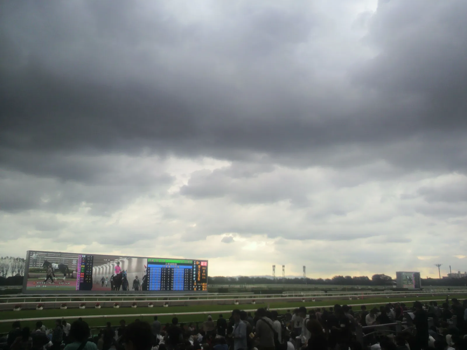 【平安S予想2017】ダート無敗の上がり馬グレイトパールの取捨は？