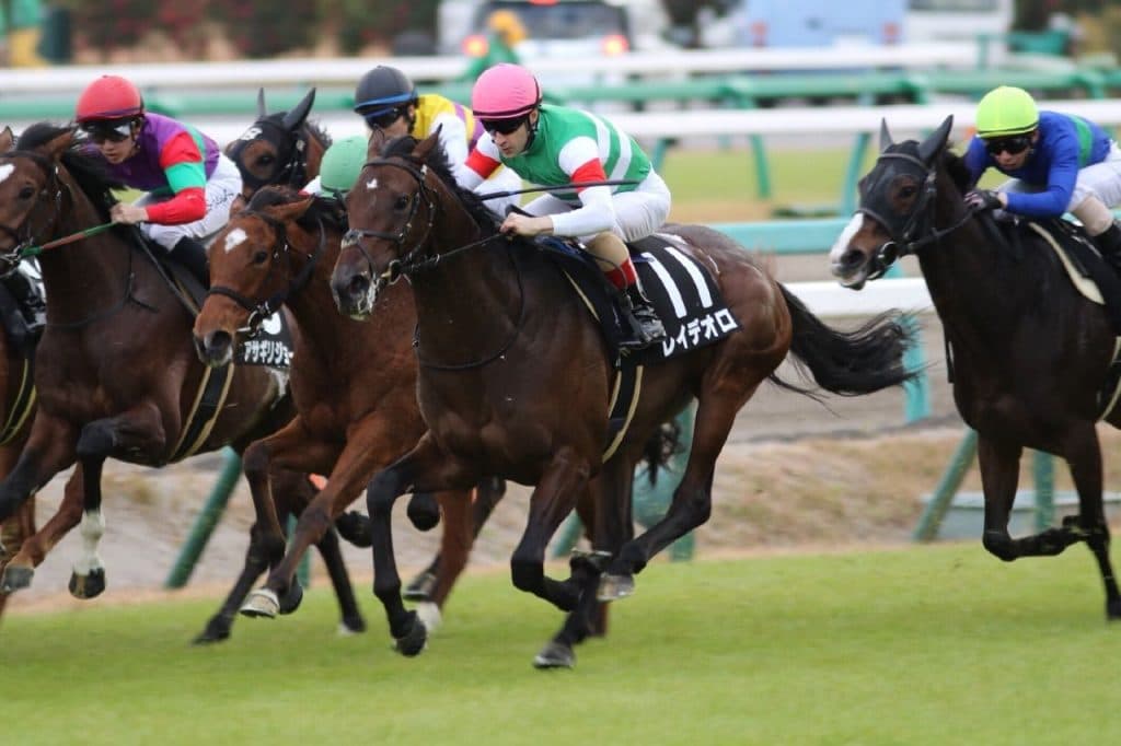 【ジャパンカップ2017予想】遅れてきた最強世代？ダービー馬レイデオロがキタサンブラックと初対戦を迎える