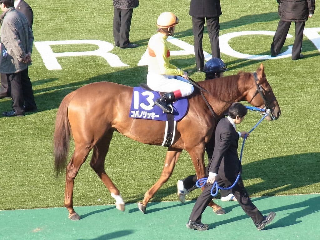 種牡馬生活2年目のコパノリッキー、オーナー直伝の数字で天下取りへ