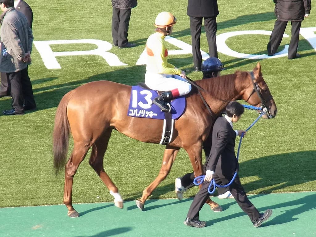 種牡馬生活2年目のコパノリッキー、オーナー直伝の数字で天下取りへ