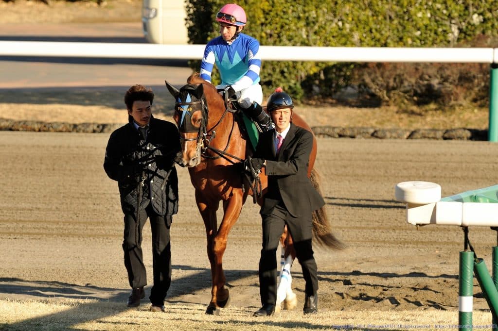 【目黒記念2017予想】いよいよ本格化ヴォルシェーヴ