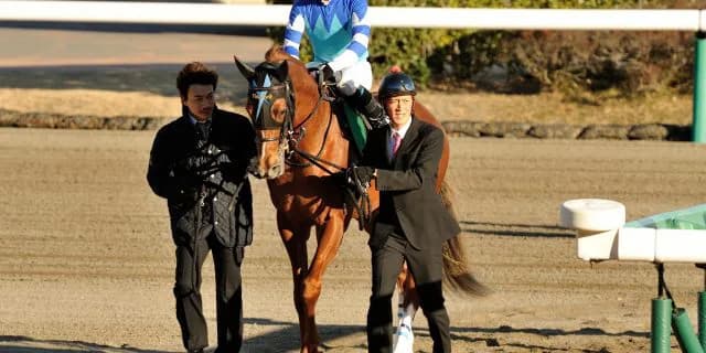 【目黒記念2017予想】いよいよ本格化ヴォルシェーヴ