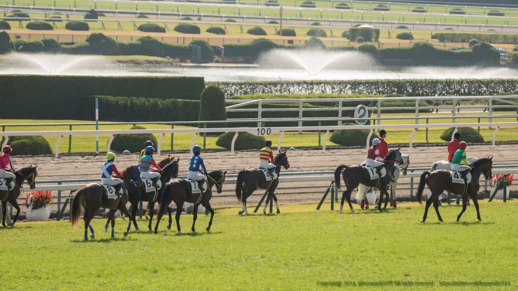 2歳新馬戦開幕、緒戦は阪神マイル戦