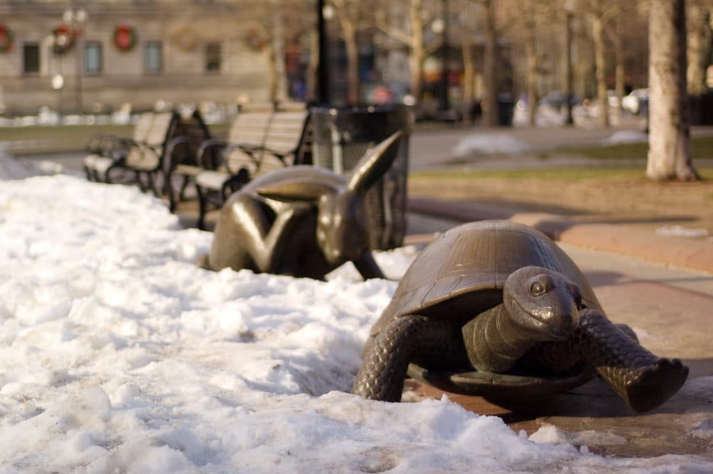 【ヴィクトリアマイル2017予想】遠回りに見えて最短距離？キャリア10戦目で古馬G1制覇なるか！