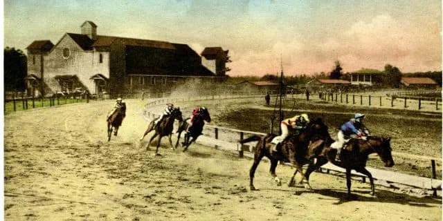 ユニコーンステークスに繋がる一戦、青竜ステークス