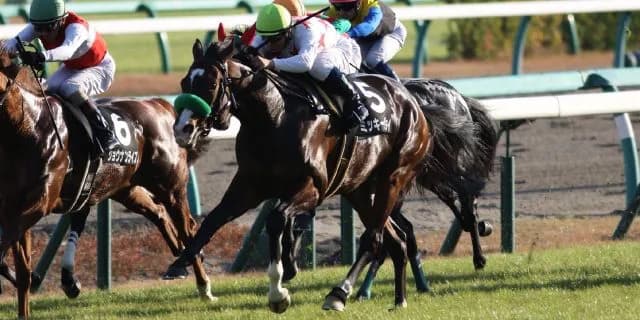 【都大路S予想2017】今週のミッキーはクイーンだけじゃない！