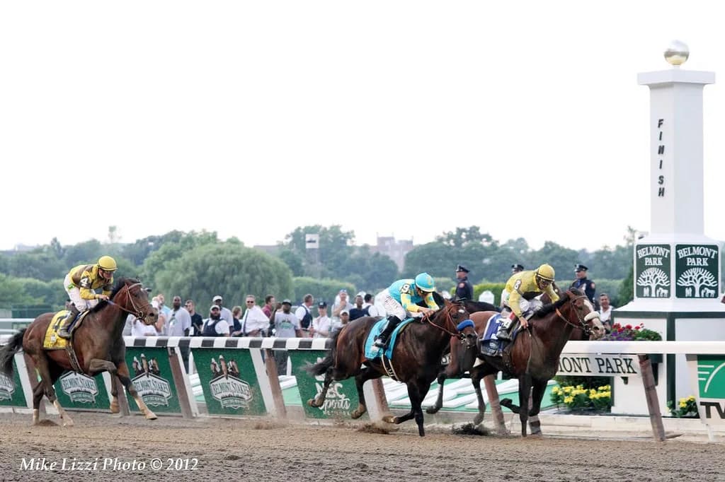 ベルモントSでの馬券発売が決定！日本からはUAEダービー2着のエピカリスが参戦