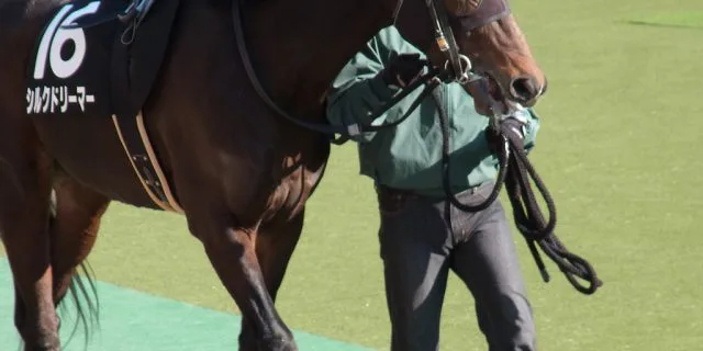 【目黒記念2017予想】大器晩成シルクドリーマー、遅咲きの花を咲かせるか？