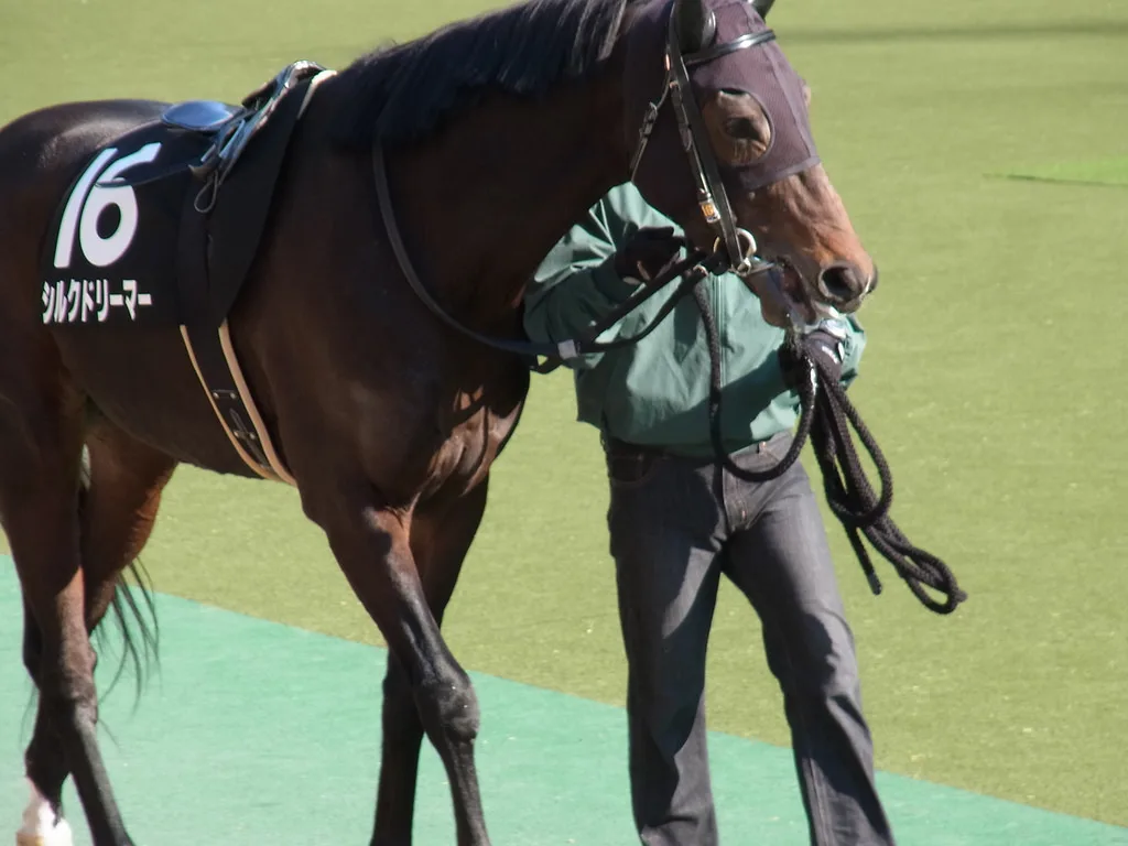 【目黒記念2017予想】大器晩成シルクドリーマー、遅咲きの花を咲かせるか？