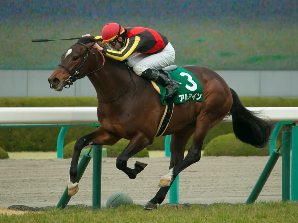 【セントライト記念2017】一本被りのアルアイン、再び“圧勝劇”を演じるのか？