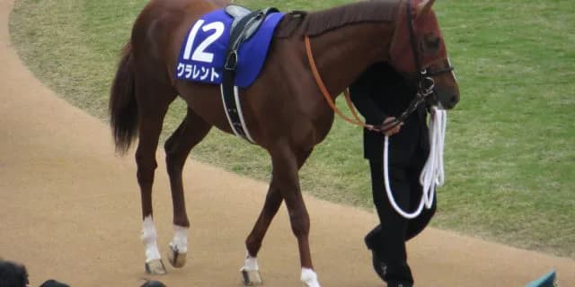 クラレント、現役引退。右脚屈腱炎を発症