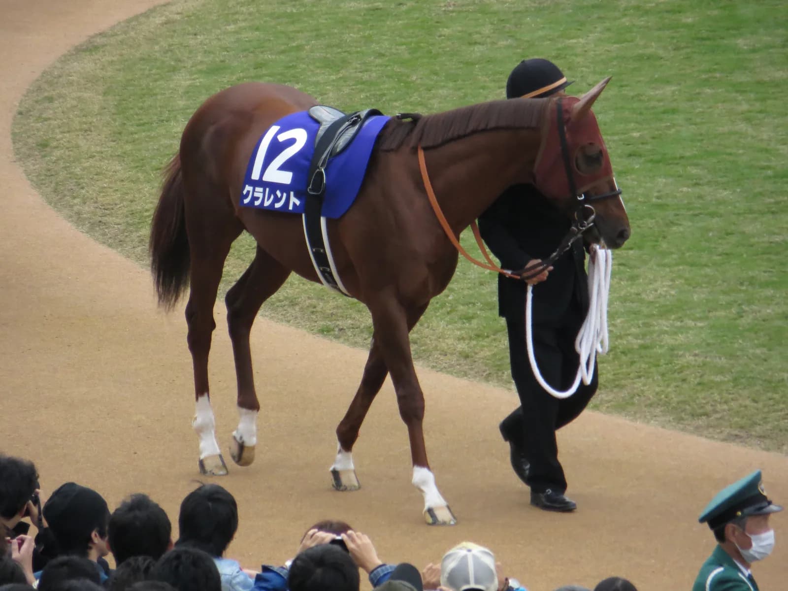クラレント、現役引退。右脚屈腱炎を発症