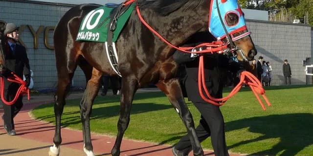 【ヴィクトリアマイル2017予想】サダムパテックの妹ジュールポレールが実績馬達を尻目に好タイムで快勝へ！