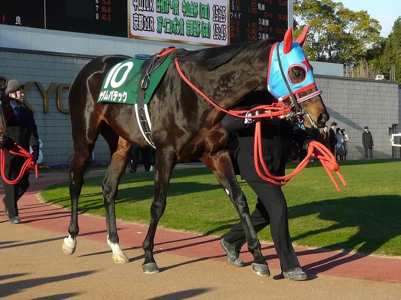 【ヴィクトリアマイル2017予想】サダムパテックの妹ジュールポレールが実績馬達を尻目に好タイムで快勝へ！