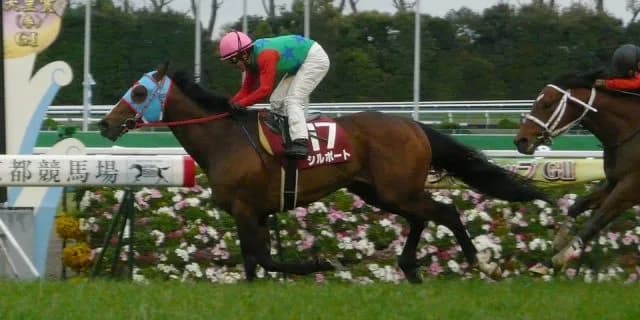 【サウジアラビアRC考察】逃げの遺伝子を受け継いだ新種牡馬産駒を狙え！