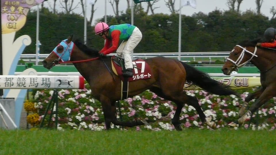 少数精鋭！これからの活躍にも期待がかかる新種牡馬シルポート