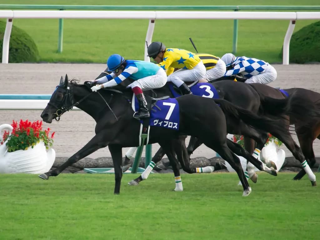 【メトロポリタンS予想2017】ゴールデンコンビで挑むヴォルシェーブ！