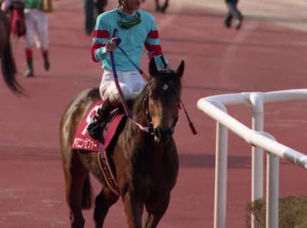 ヤマニンゼファー、老衰のため逝去