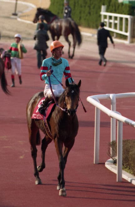 ヤマニンゼファー、老衰のため逝去