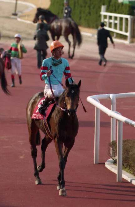 ヤマニンゼファー、老衰のため逝去