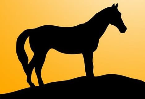 【日本ダービー予想2017】2017年の”ダービー馬”はこの馬だ！