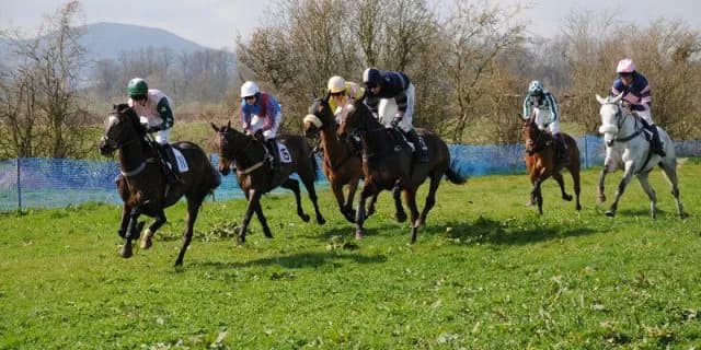 【テレ玉杯2017予想】ラベンダーメモリー単騎逃げ濃厚、鈴をつけにくる馬もおそらく不在