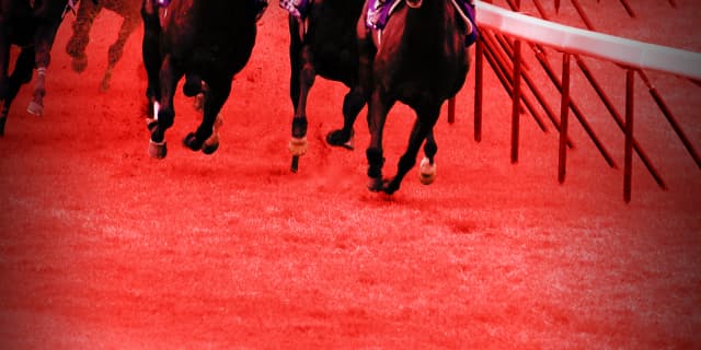 【アルゼンチン共和国杯2019予想】オススメの穴馬2頭はコレだ！