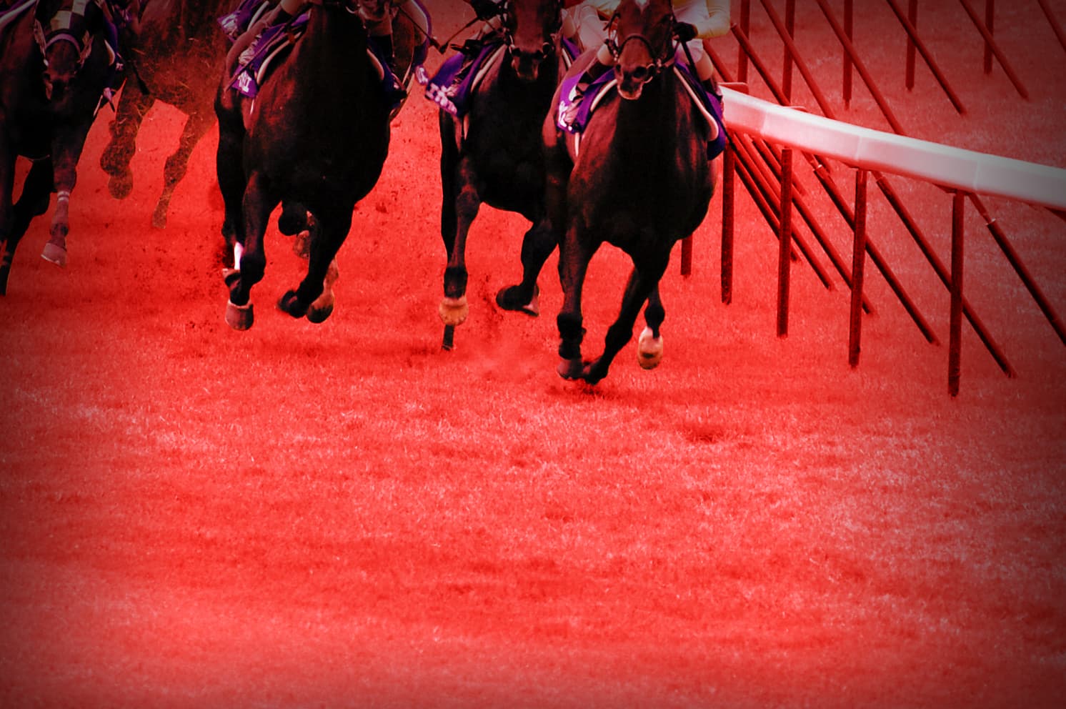 【アルゼンチン共和国杯2019予想】オススメの穴馬2頭はコレだ！