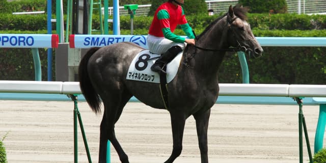 【平安ステークス2017予想】マイネルクロップが穴を開ける！1900mでも問題ナシ！