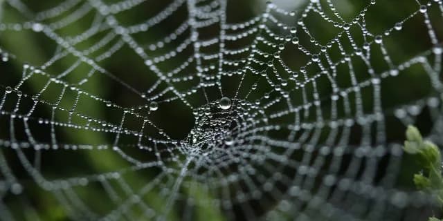 日本ダービーに待ち受ける競馬ファンだからこそ気をつけたい最後の罠